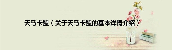 天马卡盟（关于天马卡盟的基本详情介绍）