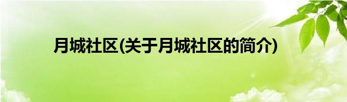 月城社区(关于月城社区的简介)