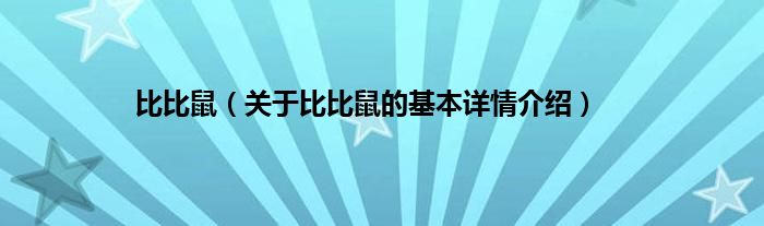 比比鼠（关于比比鼠的基本详情介绍）