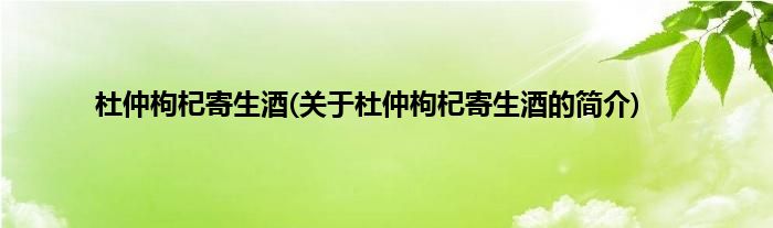 杜仲枸杞寄生酒(关于杜仲枸杞寄生酒的简介)