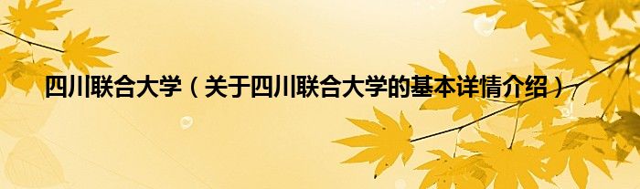 四川联合大学（关于四川联合大学的基本详情介绍）