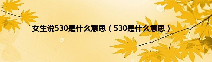 女生说530是什么意思（530是什么意思）