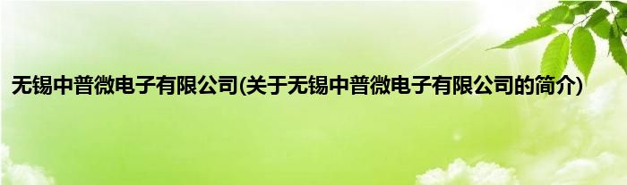 无锡中普微电子有限公司(关于无锡中普微电子有限公司的简介)
