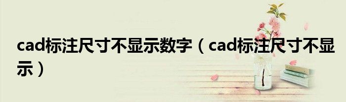 cad标注尺寸不显示数字（cad标注尺寸不显示）