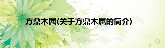 方鼎木属(关于方鼎木属的简介)
