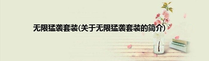 无限猛袭套装(关于无限猛袭套装的简介)