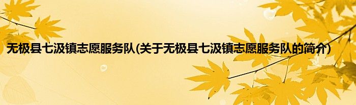 无极县七汲镇志愿服务队(关于无极县七汲镇志愿服务队的简介)