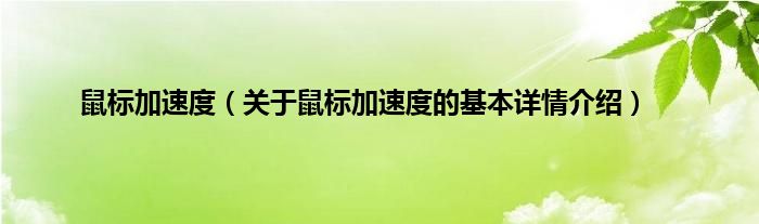 鼠标加速度（关于鼠标加速度的基本详情介绍）