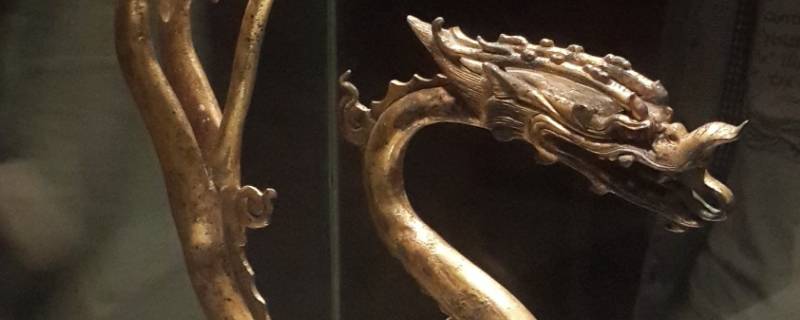 动静分虚实阴阳水火济是什么生肖