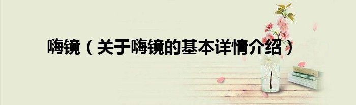 嗨镜（关于嗨镜的基本详情介绍）