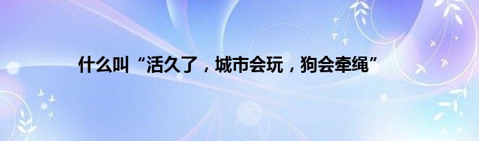 什么叫“活久了，城市会玩，狗会牵绳”