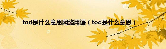 tod是什么意思网络用语（tod是什么意思）