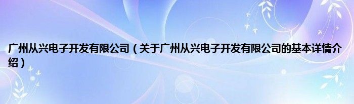 广州从兴电子开发有限公司（关于广州从兴电子开发有限公司的基本详情介绍）