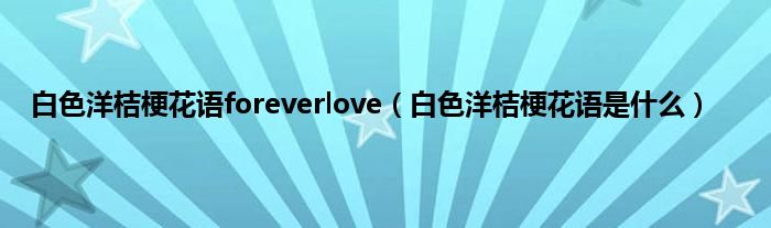 白色洋桔梗花语foreverlove（白色洋桔梗花语是什么）