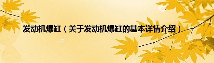 发动机爆缸（关于发动机爆缸的基本详情介绍）