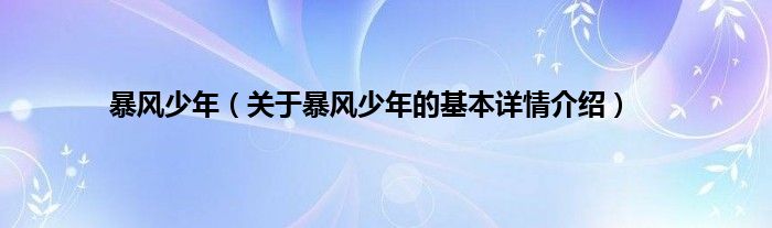 暴风少年（关于暴风少年的基本详情介绍）