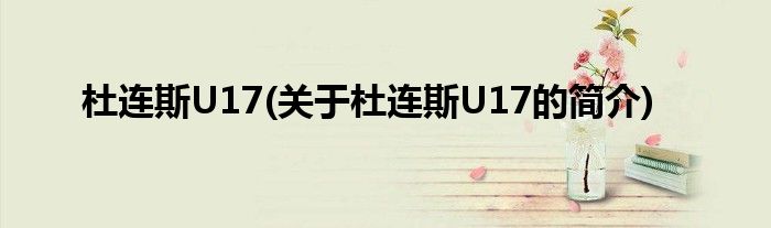 杜连斯U17(关于杜连斯U17的简介)