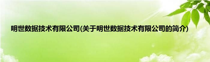 明世数据技术有限公司(关于明世数据技术有限公司的简介)
