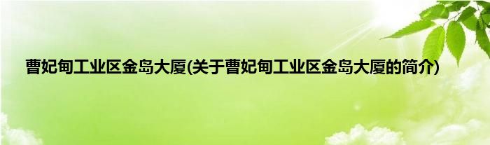 曹妃甸工业区金岛大厦(关于曹妃甸工业区金岛大厦的简介)