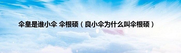 伞皇是谁小伞 伞根硕（良小伞为什么叫伞根硕）