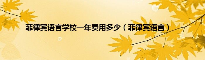 菲律宾语言学校一年费用多少（菲律宾语言）
