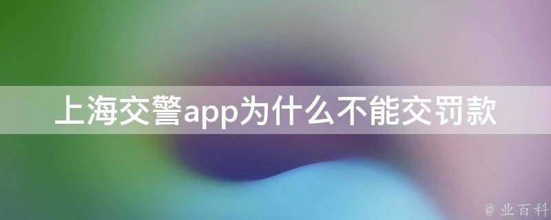 上海交警app为什么不能交罚款