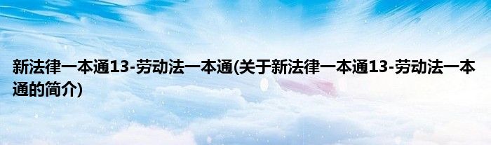 新法律一本通13-劳动法一本通(关于新法律一本通13-劳动法一本通的简介)
