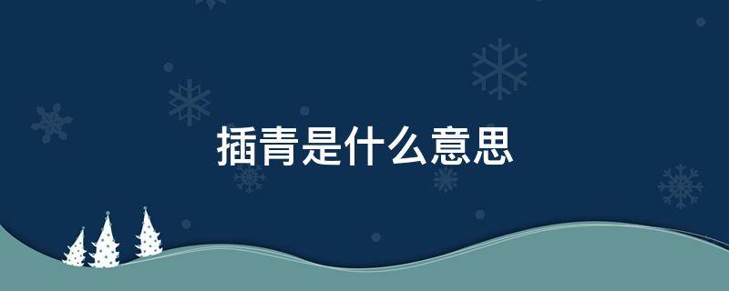 插青是什么意思