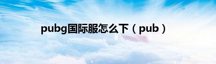 pubg国际服怎么下（pub）