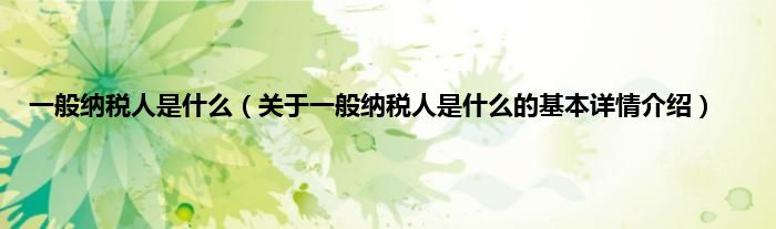 一般纳税人是什么（关于一般纳税人是什么的基本详情介绍）