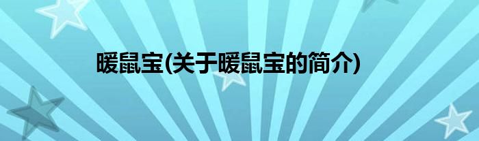 暖鼠宝(关于暖鼠宝的简介)