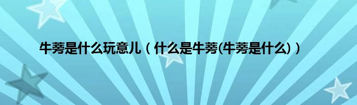 牛蒡是什么玩意儿（什么是牛蒡(牛蒡是什么)）