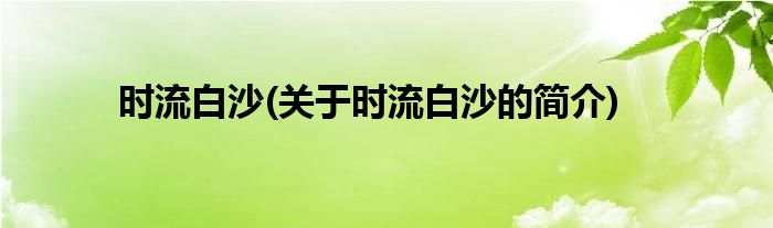 时流白沙(关于时流白沙的简介)