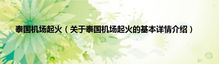 泰国机场起火（关于泰国机场起火的基本详情介绍）