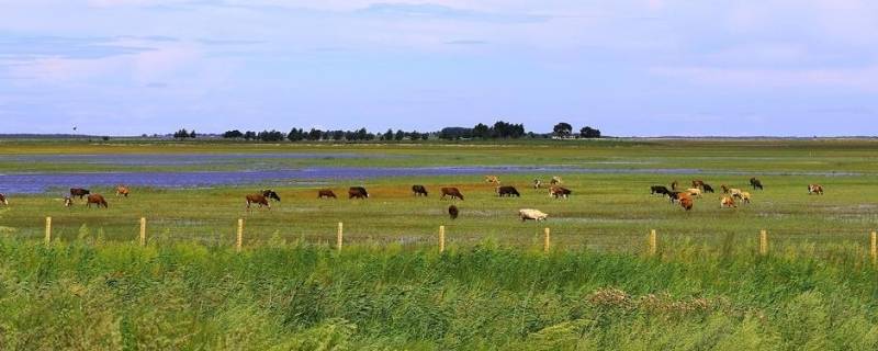 莫莫格在哪个城市