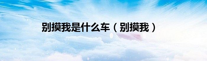 别摸我是什么车（别摸我）