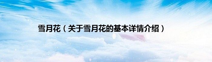 雪月花（关于雪月花的基本详情介绍）