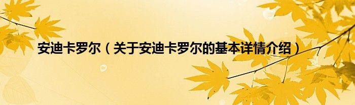 安迪卡罗尔（关于安迪卡罗尔的基本详情介绍）