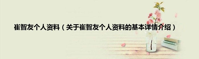 崔智友个人资料（关于崔智友个人资料的基本详情介绍）