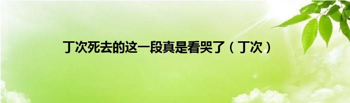 丁次死去的这一段真是看哭了（丁次）