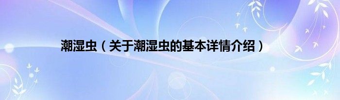 潮湿虫（关于潮湿虫的基本详情介绍）