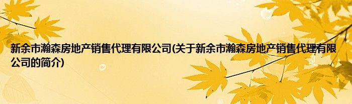新余市瀚森房地产销售代理有限公司(关于新余市瀚森房地产销售代理有限公司的简介)