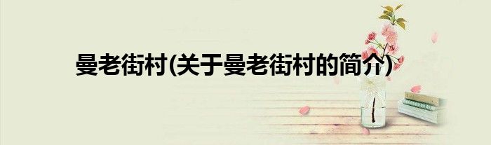 曼老街村(关于曼老街村的简介)