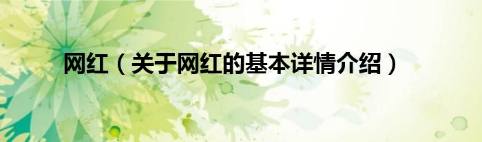 网红（关于网红的基本详情介绍）