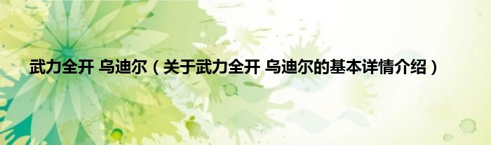 武力全开 乌迪尔（关于武力全开 乌迪尔的基本详情介绍）