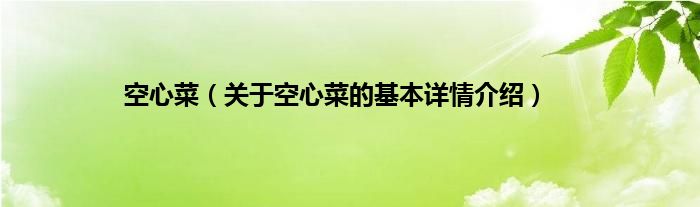 空心菜（关于空心菜的基本详情介绍）