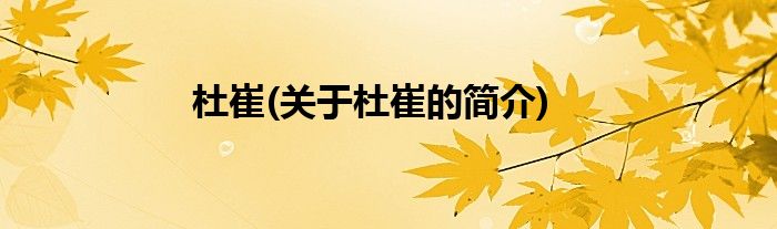 杜崔(关于杜崔的简介)
