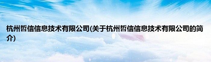 杭州哲信信息技术有限公司(关于杭州哲信信息技术有限公司的简介)
