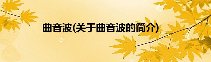 曲音波(关于曲音波的简介)