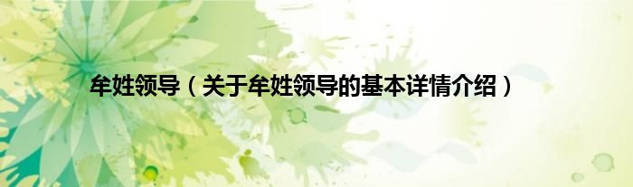 牟姓领导（关于牟姓领导的基本详情介绍）